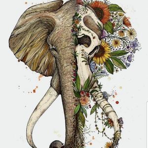 Meet your Posher, Alicia